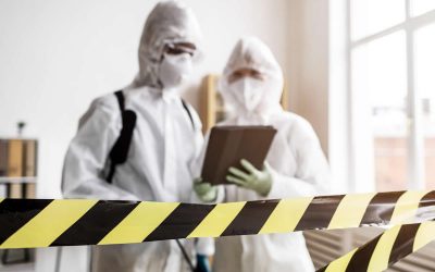 Asbestos Removal vs Remediation. What is the Difference?